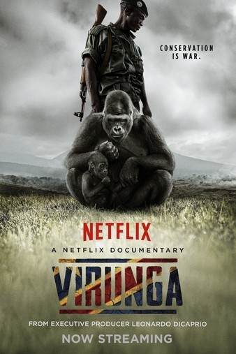 Virunga.2014.720p.WEB.x264-STRiFE