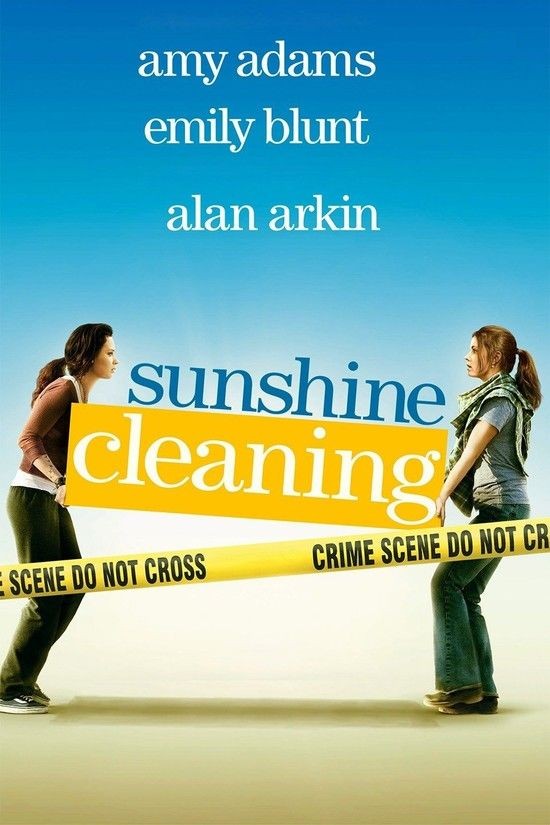 Sunshine.Cleaning.2008.1080p.BluRay.x264-CiNEFiLE