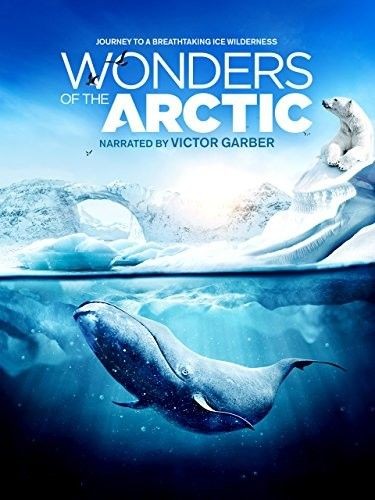 Wonders.of.the.Arctic.2014.DOCU.2160p.BluRay.REMUX.HEVC.HDR.DTS-HD.MA.TrueHD.7.1.Atmos-FGT