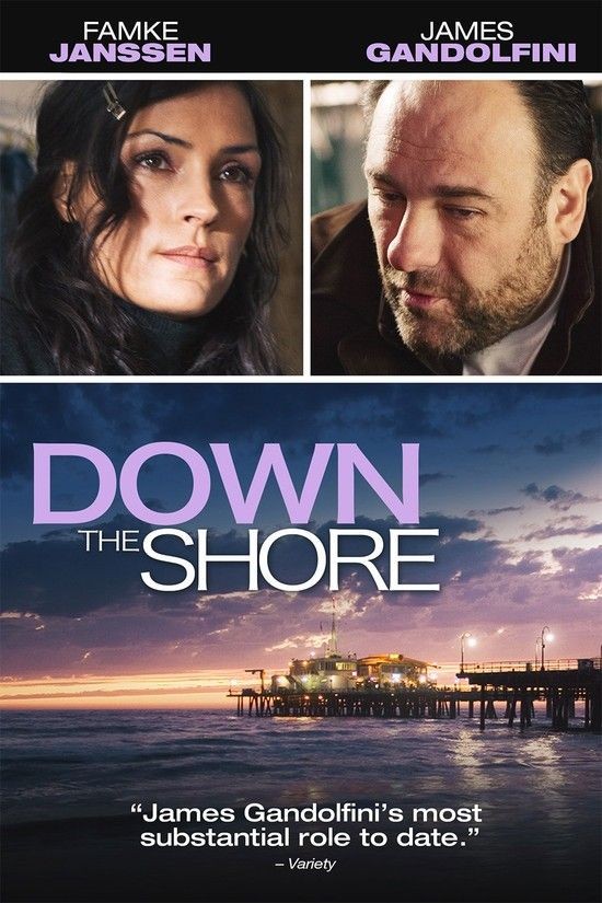 Down.The.Shore.2011.1080p.BluRay.x264-BRMP