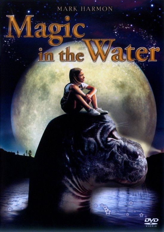 Magic.In.the.Water.1995.720p.WEB-DL.AAC2.0.H264-alfaHD
