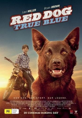 Red.Dog.True.Blue.2016.1080p.BluRay.x264-PFa