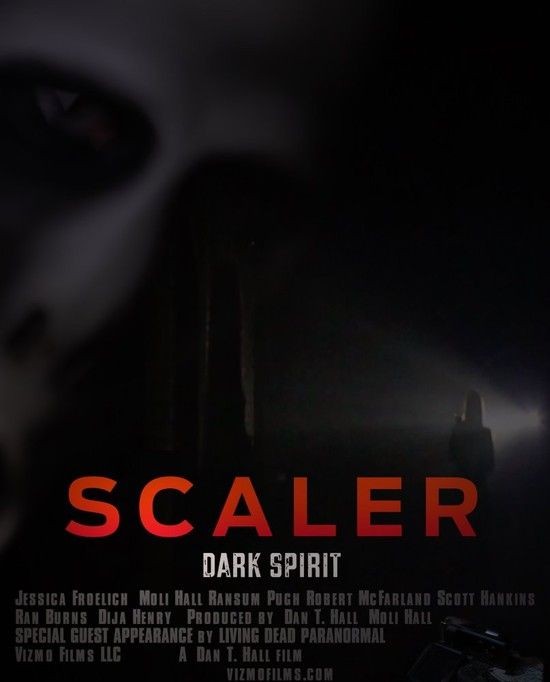 Scaler.Dark.Spirit.2016.1080p.WEB-DL.AAC2.0.H264-FGT