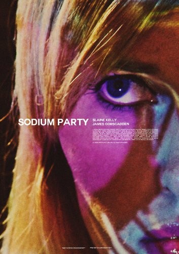 Sodium.Party.2013.720p.WEBRip.x264-iNTENSO