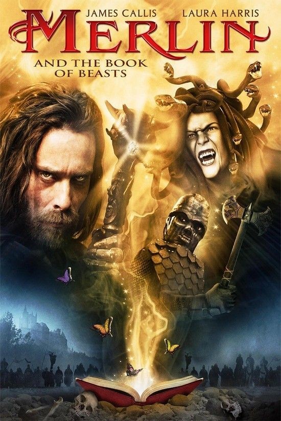 Merlin.And.The.Book.Of.Beasts.2009.1080p.BluRay.x264-aAF