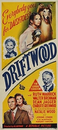 Driftwood.1947.720p.BluRay.x264-NODLABS