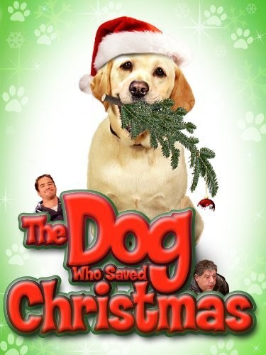 The.Dog.Who.Saved.Christmas.2009.1080p.HDTV.h264-PLUTONiUM