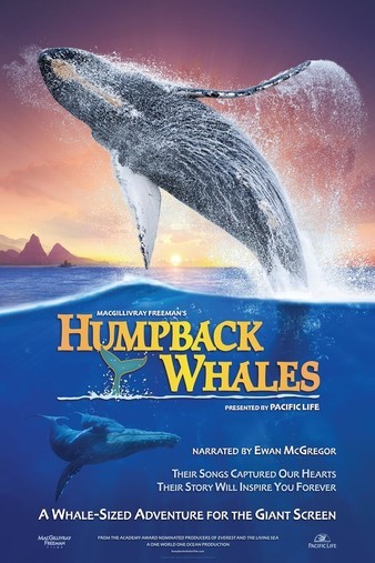 Humpback.Whales.2015.DOCU.2160p.BluRay.HEVC.TrueHD.7.1.Atmos-PRECELL