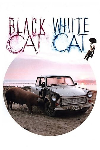 Black.Cat.White.Cat.1998.SERBIAN.1080p.AMZN.WEBRip.DD5.1.x264-AJP69
