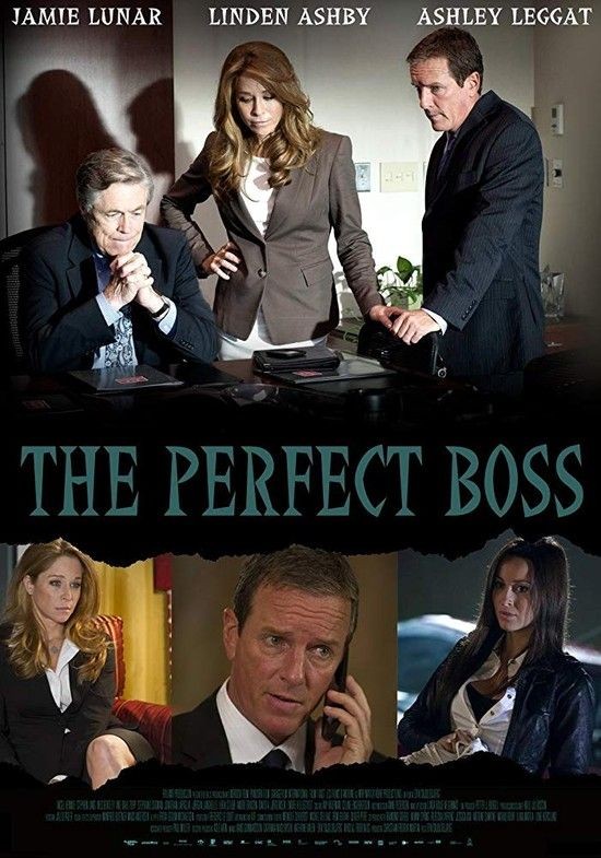 The.Perfect.Boss.2013.1080p.AMZN.WEBRip.DDP2.0.x264-ABM