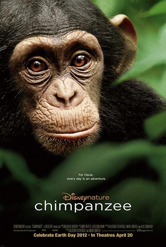 Chimpanzee.2012.1080p.BluRay.x264-IGUANA