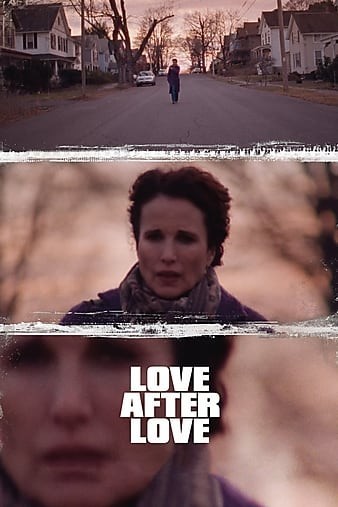 Love.After.Love.2017.WEB-DL.x264-FGT